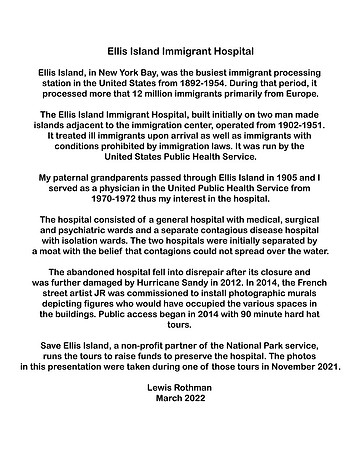 Ellis Island - Lew Rothman