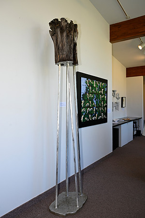 _DSC0253