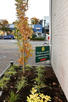 2022 Closter Pocket Park Funded by AARP