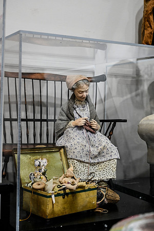 _DSC0537