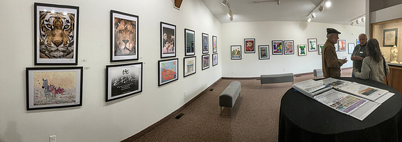Pano - 2