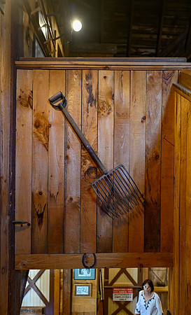 _DSC1151
