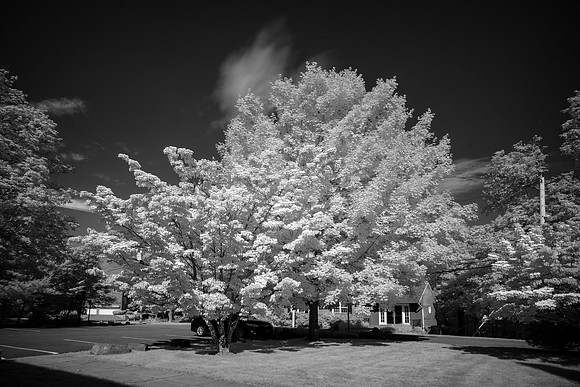 760nm_DSC1314 - monochrome