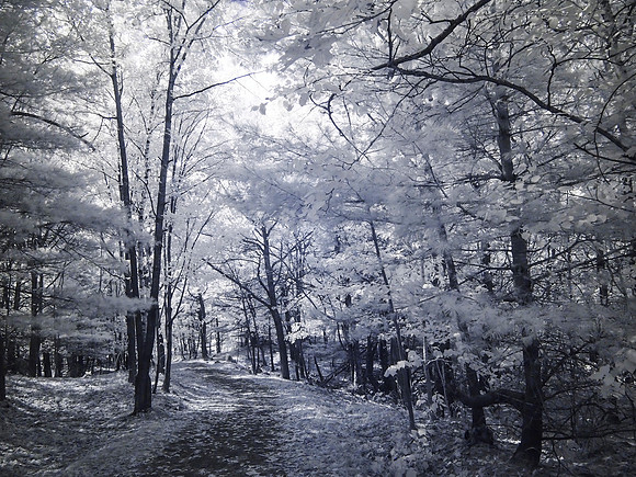 PA060403