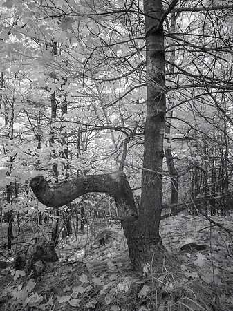 PA060407