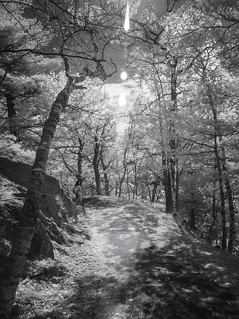 PA060419