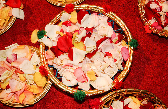 Flower petals-2