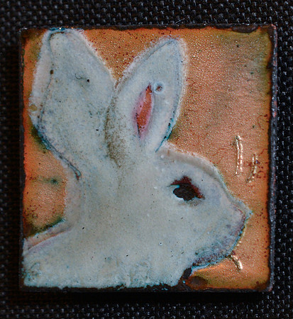 _7104840 - bluish bunny