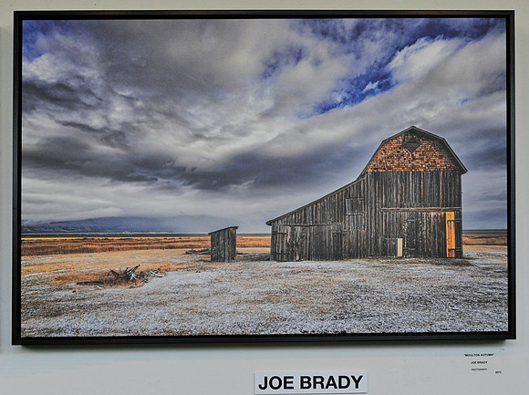 _DSZ1634 - Brady (Moulton Autumn)