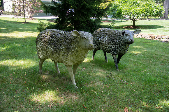 _8005670 - and I thought these were REAL!