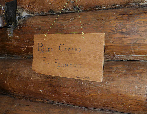 P1000505