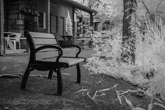 _DSC0307 - IR