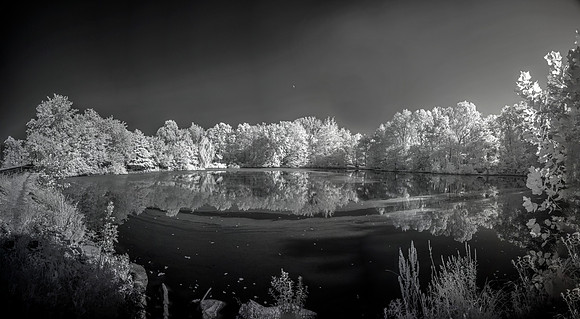 850nm on 21mm (78-89) Pano