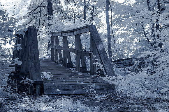 IR_DSC0560