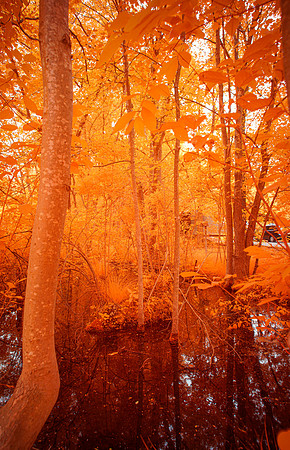 _DSC1367