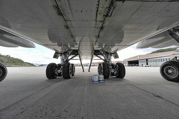 _DSC1249 (Belly - rear)