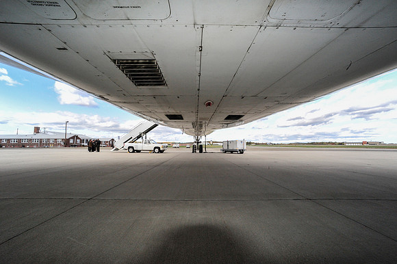 _DSC1248 (Belly)