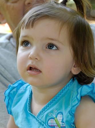 DSC00551