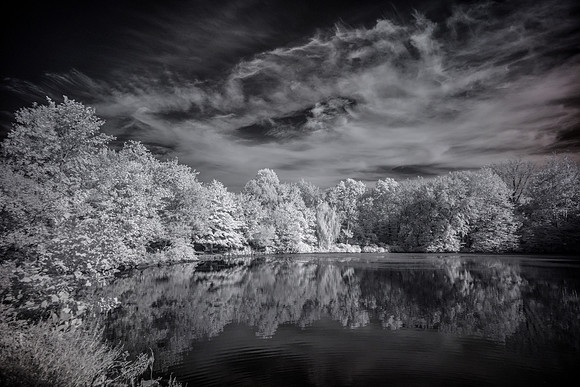 _DSC1133 750nm