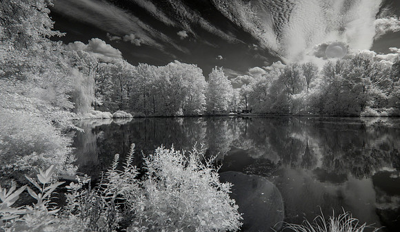 CNC Panorama (397-404) - custom WB with grey card