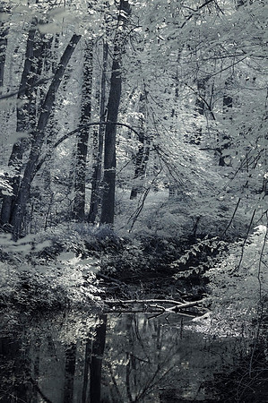 UV_DSC0551