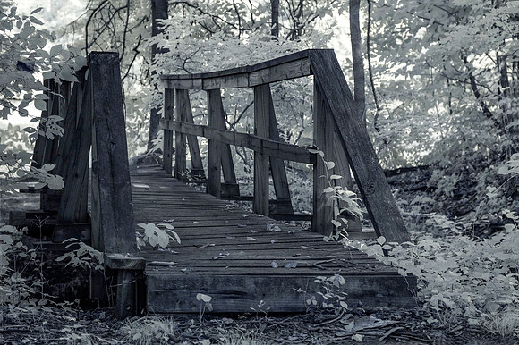 UV_DSC0550