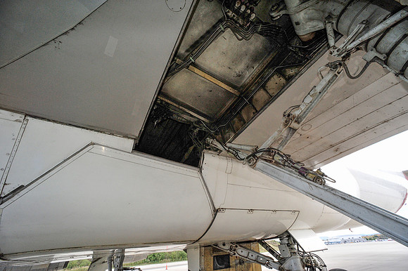 _DSC1244 (Landing gear bay)