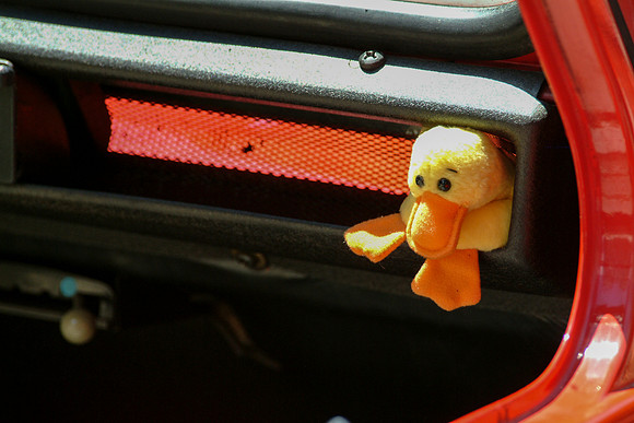 Citroen with chick
