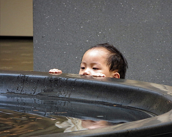 IMG_0096 DD - Peekaboo - 16x20
