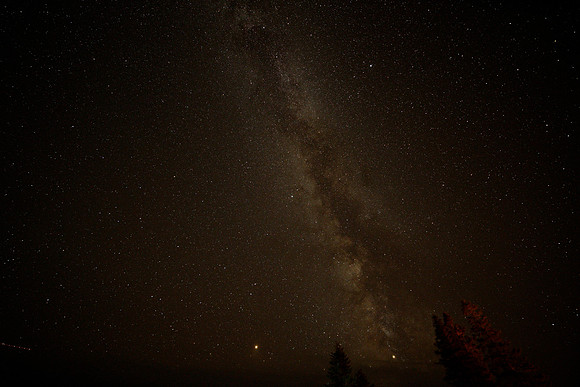 _DSC7496
