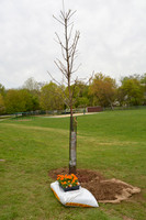 2023 - Arbor Day + Awards