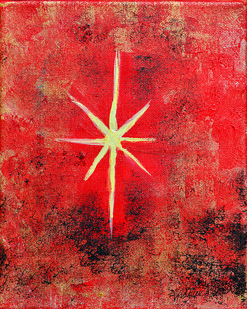 Wonderous Star (4294) 8x10