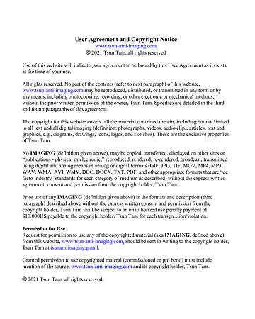 Intellectual Property and Copyrights Statement