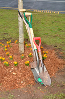 Arbor Day - April 30, 2019