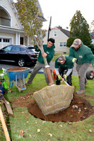 2019 How to Plant a Tree in Closter