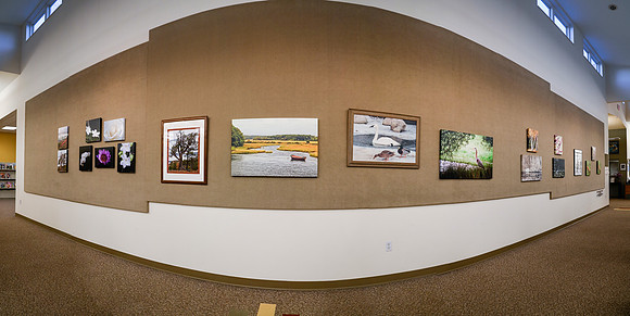 Panorama-06 (Mary Ann Farrell's Wall) 994-1002