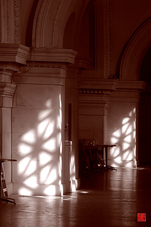 Light and Square Columns-1-Cropped-CHOP