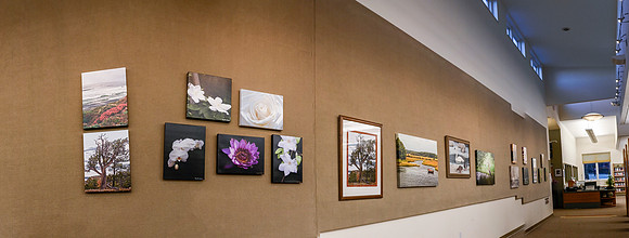 Panorama-07 (Mary Ann Farrell's Wall) 1004-1009