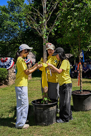 _DSC0854