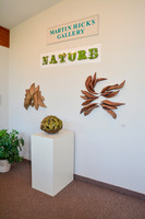 2017-09 - Nature