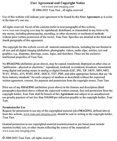 User Agreement and Copyright Notice (revised 2025-01-01)