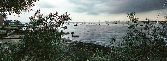 Bay